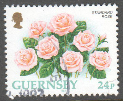 Guernsey Scott 489 Used - Click Image to Close